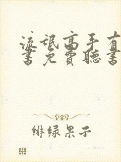流氓高手有声听书免费听书