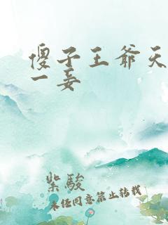 傻子王爷天下第一妾