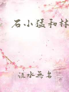 石小猛和林夏