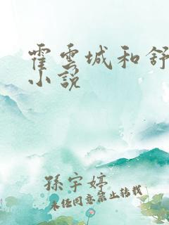 霍云城和舒情的小说