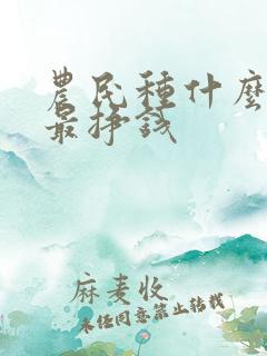 农民种什么蔬菜最挣钱