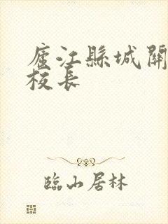 庐江县城关小学校长