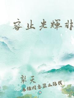 容止光辉非世人