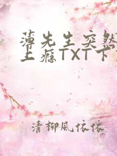 薄先生突然黏她上瘾TXT下载