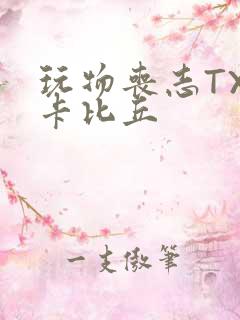玩物丧志TXT卡比丘