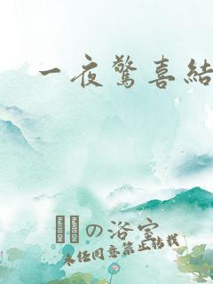 一夜惊喜结局