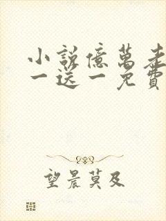 小说亿万老婆买一送一免费阅读