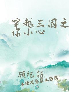 穿越三国之孔明你小心