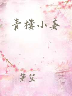 青楼小妾