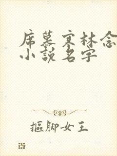 席慕寒林念儿的小说名字