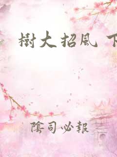 树大招风 下载
