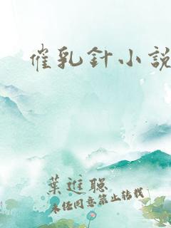 催乳针小说
