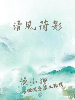 清风荷影