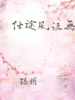 仕途风流无弹窗
