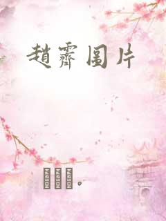 赵霁图片