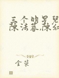 三个明星儿媳,陈法蓉,陈红的小说