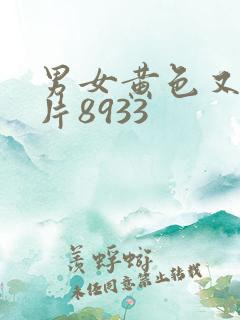 男女黄色又爽大片8933
