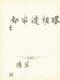 都市透视眼txt