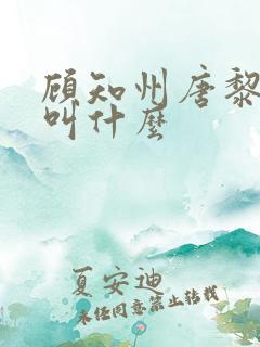 顾知州唐黎书名叫什么