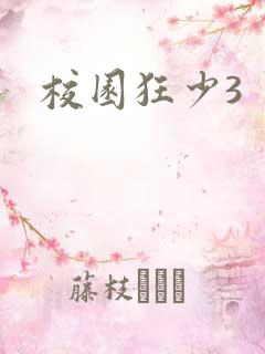 校园狂少3