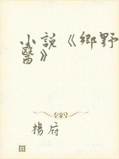小说《乡野小傻医》