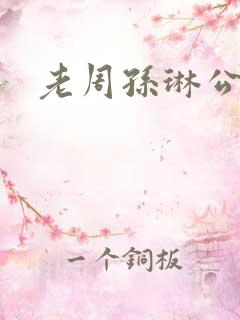 老周孙琳公交车