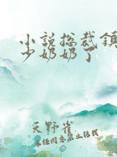 小说总裁镇不住少奶奶了