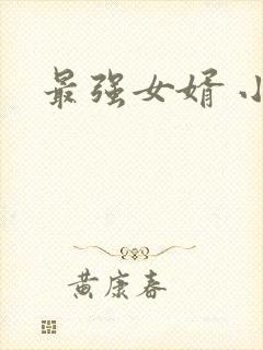 最强女婿 小说