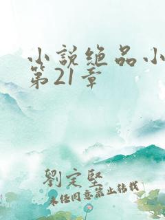 小说绝品小农民第21章