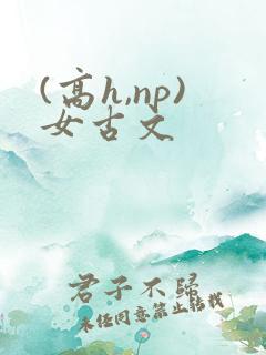 (高h,np)女古文