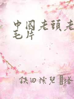 中国老头老太太毛片