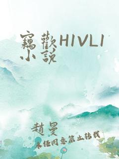 窃欢H1VL1小说