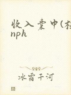 收入囊中(校园nph