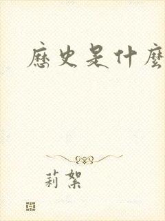 历史是什么玩意