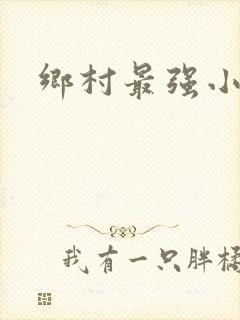 乡村最强小农民