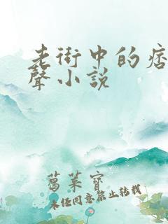 老街中的痞子有声小说