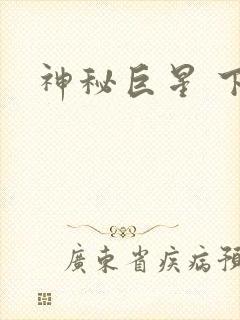 神秘巨星 下载