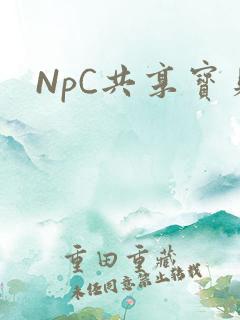 NpC共享宝贝