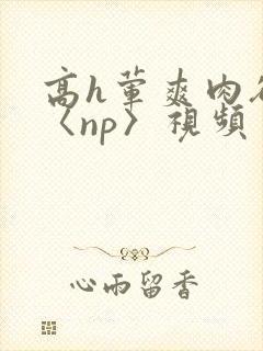 高h荤爽肉欲文〈np〉视频