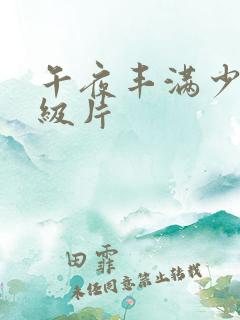 午夜丰满少妇一级片