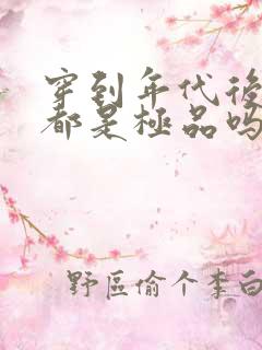 穿到年代后全家都是极品吗
