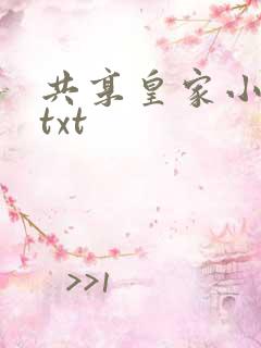 共享皇家小公主txt