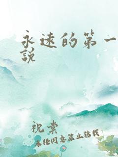 永远的第一名小说