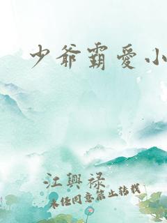 少爷霸爱小丫头