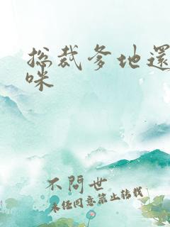 总裁爹地还我妈咪