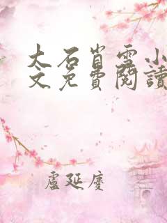 大石肖雪小说全文免费阅读