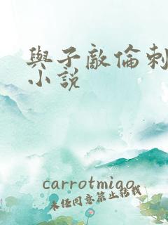 与子敌伦刺激的小说