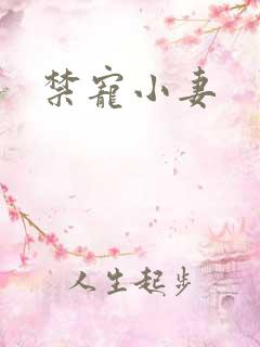 禁宠小妻