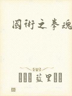 国术之拳魂