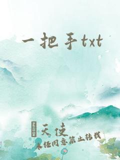 一把手txt